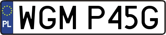 WGMP45G