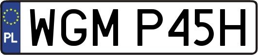 WGMP45H