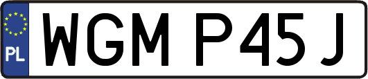 WGMP45J