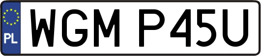 WGMP45U