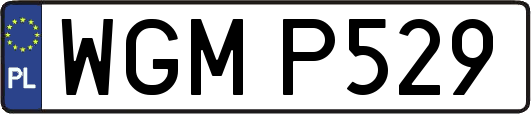 WGMP529