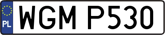 WGMP530