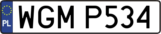 WGMP534