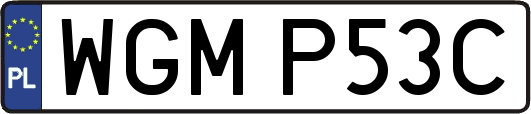 WGMP53C