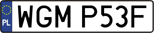 WGMP53F