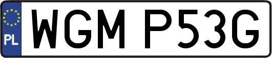 WGMP53G