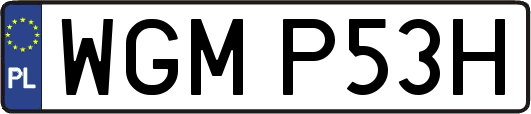 WGMP53H