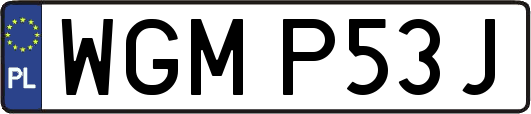 WGMP53J