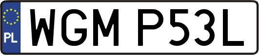WGMP53L