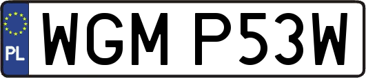 WGMP53W