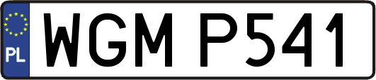 WGMP541