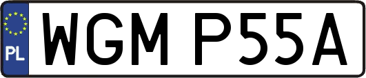 WGMP55A