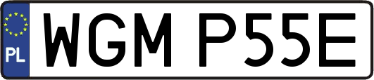 WGMP55E