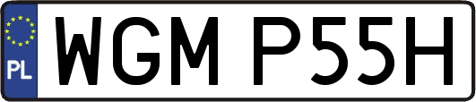 WGMP55H