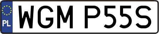 WGMP55S