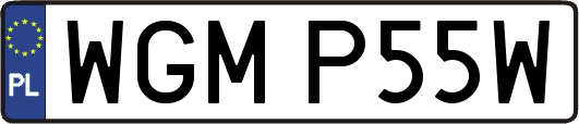 WGMP55W