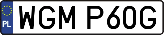 WGMP60G