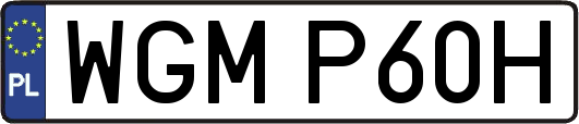 WGMP60H