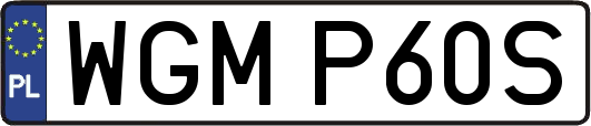 WGMP60S