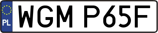 WGMP65F