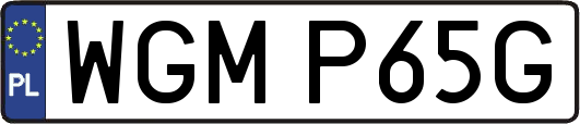 WGMP65G