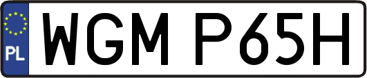 WGMP65H