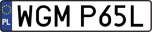 WGMP65L