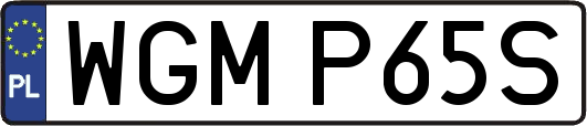 WGMP65S