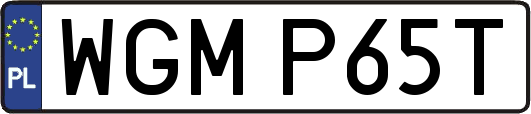 WGMP65T