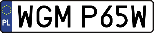 WGMP65W