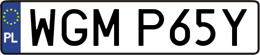 WGMP65Y