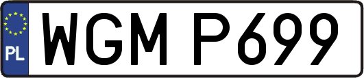 WGMP699