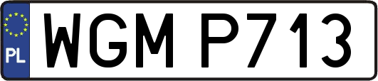 WGMP713