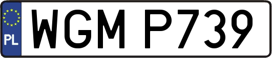 WGMP739