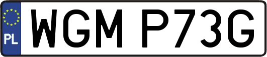 WGMP73G