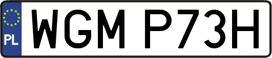 WGMP73H
