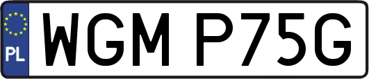 WGMP75G
