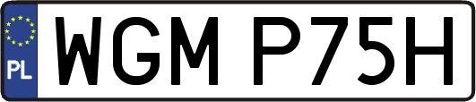 WGMP75H