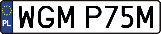 WGMP75M