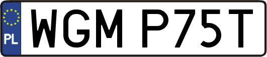 WGMP75T