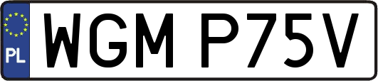 WGMP75V