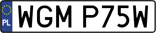 WGMP75W
