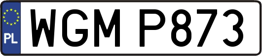 WGMP873