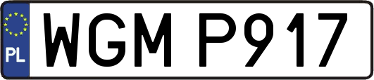 WGMP917
