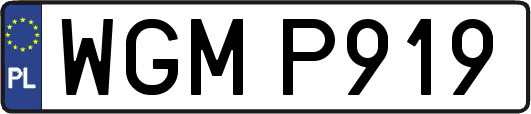 WGMP919