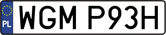 WGMP93H