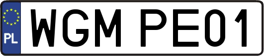 WGMPE01