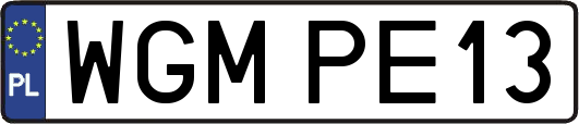 WGMPE13