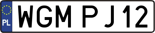 WGMPJ12