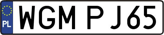 WGMPJ65